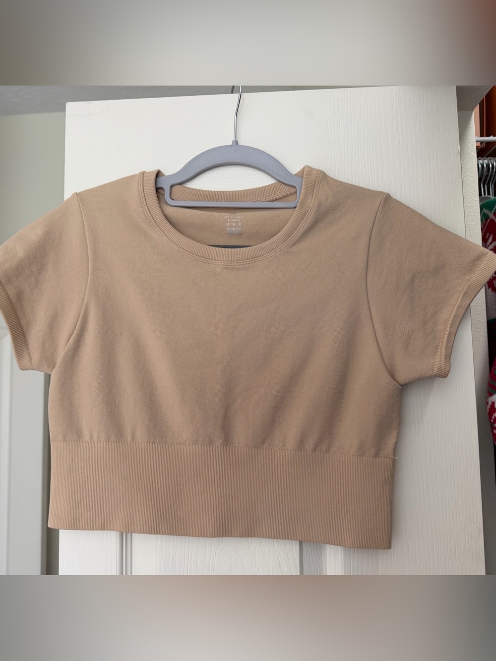 Aerie cropped workout top